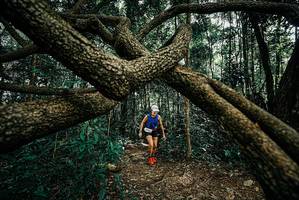 BIB: 
                            <button type="button" onclick="openModal(25664997)" class="btn btn-primary btn-sm float-right btn-popup" data-toggle="modal" data-target=".modal-high-quality">
                        <i class="fas fa-shopping-cart"></i> Add to Cart
                    </button>
                                            <button type="button" onclick="isThisMe(25664997, true)" class="btn btn-success btn-sm float-right btn-popup btn-isme hidden" data-toggle="tooltip" data-placement="bottom" title="นี่คือรูปของคุณใช่ไหม คลิกที่นี่เพื่อเอาเข้าอัลบั้ม">
                        <i class="fas fa-plus"></i> Add to album
                    </button>
                    <button type="button" onclick="isThisMe(25664997, false)" class="btn btn-warning btn-sm float-right btn-popup btn-isnotme hidden">
                        <i class="fas fa-ban"></i> Remove from album
                    </button>